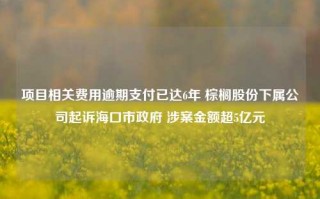 项目相关费用逾期支付已达6年 棕榈股份下属公司起诉海口市政府 涉案金额超5亿元