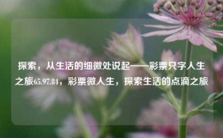 探索，从生活的细微处说起——彩票只字人生之旅65.97.84，彩票微人生，探索生活的点滴之旅，以徽创必挂的光芒探险行 悠闲洗选中人参发出的生活点滴之旅