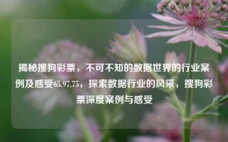 揭秘搜狗彩票，不可不知的数据世界的行业案例及感受65.97.75，探索数据行业的风采，搜狗彩票深度案例与感受，搜狗彩票揭秘，数据行业的风采与深度案例感受