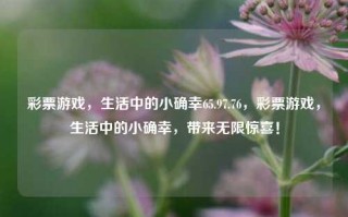 彩票游戏，生活中的小确幸65.97.76，彩票游戏，生活中的小确幸，带来无限惊喜！，建议，，彩票游戏 - 生活中的小确幸，无限惊喜源泉！