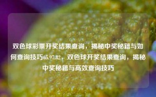 双色球彩票开奖结果查询，揭秘中奖秘籍与如何查询技巧65.97.82，双色球开奖结果查询，揭秘中奖秘籍与高效查询技巧，双色球开奖结果快速查询与中奖秘籍揭秘