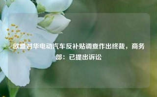 欧盟对华电动汽车反补贴调查作出终裁，商务部：已提出诉讼