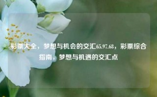 彩票大全，梦想与机会的交汇65.97.68，彩票综合指南，梦想与机遇的交汇点，彩票综合指南，梦想与机遇的交汇之路