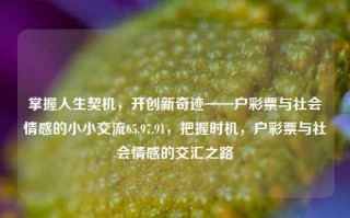 掌握人生契机，开创新奇迹——户彩票与社会情感的小小交流65.97.91，把握时机，户彩票与社会情感的交汇之路，掌握时机，户彩票与社会情感的交汇之路——开创新奇迹的契机