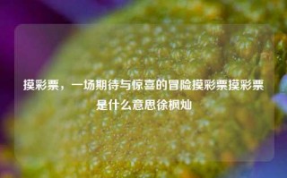 摸彩票，一场期待与惊喜的冒险摸彩票摸彩票是什么意思徐枫灿