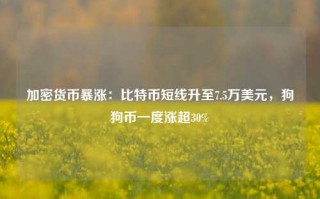 加密货币暴涨：比特币短线升至7.5万美元，狗狗币一度涨超30%