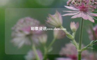 彩票资讯www.zhcw.com