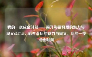 我的一夜成金时刻——揭开彩票背后的魅力与奥义65.97.80，彩票背后的魅力与奥义，我的一夜成金时刻，揭秘彩票背后的魅力与奥义，我的一夜成金时刻