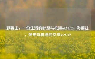 彩票注，一份生活的梦想与机遇65.97.82，彩票注，梦想与机遇的交织65.97.82，彩票注，交织的梦想与机遇 65.97.82