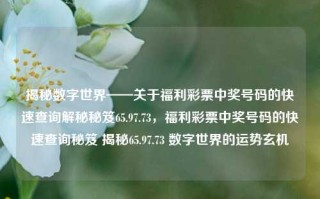 揭秘数字世界——关于福利彩票中奖号码的快速查询解秘秘笈65.97.73，福利彩票中奖号码的快速查询秘笈 揭秘65.97.73 数字世界的运势玄机，揭秘福利彩票中奖号码的快速查询解秘秘笈，65.97.73数字世界运势玄机