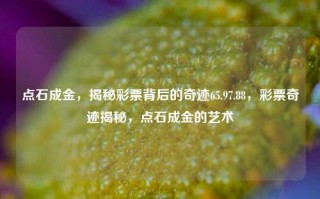 点石成金，揭秘彩票背后的奇迹65.97.88，彩票奇迹揭秘，点石成金的艺术，揭秘彩票背后的点石成金艺术