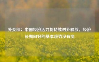 外交部：中国经济活力将持续对外释放，经济长期向好的基本趋势没有变