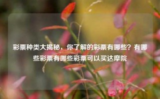 彩票种类大揭秘，你了解的彩票有哪些？有哪些彩票有哪些彩票可以买达摩院