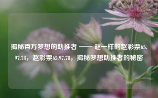 揭秘百万梦想的助推者 —— 谜一样的赵彩票65.97.78，赵彩票65.97.78，揭秘梦想助推者的秘密，探索亿人惊艳之源的秘题解答赵姓名有趣的期望刘师大疾父子之谜——揭秘赵彩票65.97.78的梦想助推者秘密