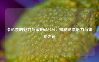 卡彩票的魅力与策略65.97.90，揭秘彩票魅力与策略之道，揭秘卡彩票魅力与实用策略