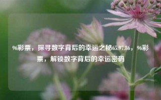 96彩票，探寻数字背后的幸运之秘65.97.86，96彩票，解锁数字背后的幸运密码，96彩票，解锁数字背后的幸运密码，探寻幸运之秘