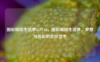 国彩缤纷生活梦65.97.84，国彩缤纷生活梦，梦想与色彩的交织艺术，国彩缤纷生活梦，梦想与色彩的交织艺术之旅