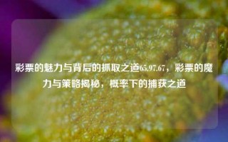 彩票的魅力与背后的抓取之道65.97.67，彩票的魔力与策略揭秘，概率下的捕获之道，揭秘，彩票背后的捕获艺术——神奇的技巧和惊人事实。