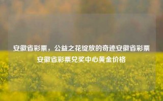 安徽省彩票，公益之花绽放的奇迹安徽省彩票安徽省彩票兑奖中心黄金价格