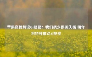 苹果高管解读Q4财报：我们很少供需失衡 明年将持续推动AI投资