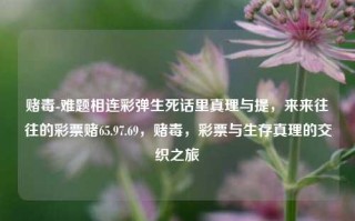 赌毒-难题相连彩弹生死话里真理与提，来来往往的彩票赌65.97.69，赌毒，彩票与生存真理的交织之旅，彩票赌毒之生存真理交织之旅，对话里话外双层面的决裂和深入探微。