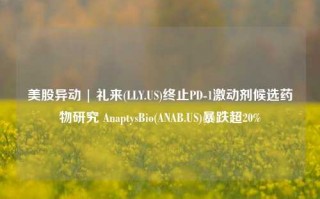 美股异动 | 礼来(LLY.US)终止PD-1激动剂候选药物研究 AnaptysBio(ANAB.US)暴跌超20%