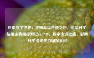 探索数字世界，走向命运奇迹之路，彩票开奖结果走势图探索记65.97.89，数字命运之路，彩票开奖结果走势图探索记，数字命运之路，彩票开奖结果走势图探索记