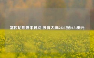 塞拉尼斯盘中异动 股价大跌5.03%报80.54美元