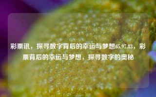 彩票讯，探寻数字背后的幸运与梦想65.97.83，彩票背后的幸运与梦想，探寻数字的奥秘，探寻数字奥秘，彩票背后的幸运与梦想65.97.83