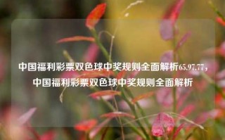 中国福利彩票双色球中奖规则全面解析65.97.77，中国福利彩票双色球中奖规则全面解析