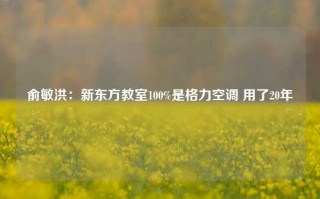 俞敏洪：新东方教室100%是格力空调 用了20年