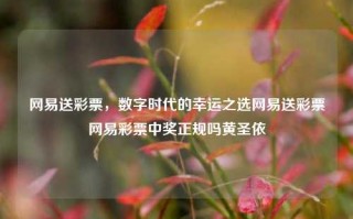 网易送彩票，数字时代的幸运之选网易送彩票网易彩票中奖正规吗黄圣依