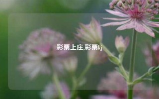 彩票上庄,彩票kj