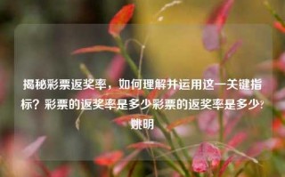 揭秘彩票返奖率，如何理解并运用这一关键指标？彩票的返奖率是多少彩票的返奖率是多少?姚明