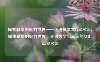 探索彩票的魅力世界——走进彩票大厅65.97.89，揭秘彩票的魅力世界，走进数字与幸运的交汇点 65.97.89，揭开神秘面纱，65.97.89彩票大厅，探秘数字背后的幸运世界