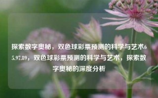 探索数字奥秘，双色球彩票预测的科学与艺术65.97.89，双色球彩票预测的科学与艺术，探索数字奥秘的深度分析，探索数字奥秘与双色球彩票预测的科学与艺术深度分析