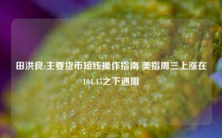 田洪良:主要货币短线操作指南 美指周三上涨在104.45之下遇阻