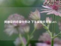 阿维亚网络盘中异动 下午盘股价大涨5.03%