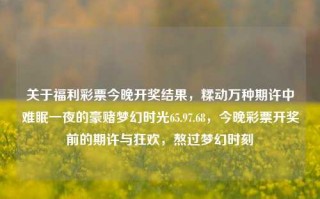 关于福利彩票今晚开奖结果，糅动万种期许中难眠一夜的豪赌梦幻时光65.97.68，今晚彩票开奖前的期许与狂欢，熬过梦幻时刻，福利彩票今晚开奖，糅动期许与豪赌梦幻时光的狂欢之夜