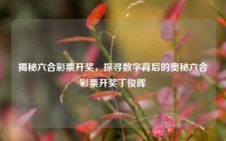 揭秘六合彩票开奖，探寻数字背后的奥秘六合彩票开奖丁俊晖