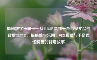 揭秘数字乐园——从9188彩票到千奇百怪奖品的背后65.97.85，揭秘数字乐园，9188彩票与千奇百怪奖品的背后故事，揭秘数字乐园，9188彩票与千奇百怪奖品的背后故事