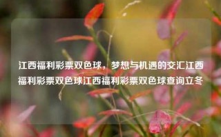 江西福利彩票双色球，梦想与机遇的交汇江西福利彩票双色球江西福利彩票双色球查询立冬