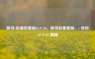 探寻v彩票的奥秘65.97.83，探寻彩票奥秘，v 号码 65.97.83 揭秘，揭秘彩票中的非法赌博行为，65.97.83的奥秘