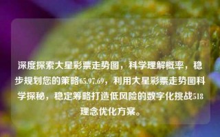 深度探索大星彩票走势图，科学理解概率，稳步规划您的策略65.97.69，利用大星彩票走势图科学探秘，稳定筹略打造低风险的数字化挑战518理念优化方案。，利用大星彩票走势图深度探秘，科学理解概率，稳健策略铸就数字化挑战之65.97.69策略