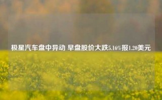 极星汽车盘中异动 早盘股价大跌5.16%报1.20美元