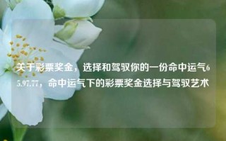 关于彩票奖金，选择和驾驭你的一份命中运气65.97.77，命中运气下的彩票奖金选择与驾驭艺术，命中运气下的彩票奖金选择与驾驭艺术