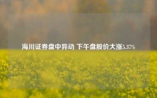 海川证券盘中异动 下午盘股价大涨5.37%