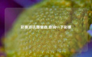 彩票资讯哪里查,查询一下彩票