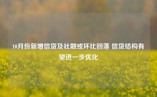 10月份新增信贷及社融或环比回落 信贷结构有望进一步优化