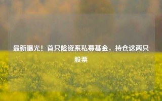 最新曝光！首只险资系私募基金，持仓这两只股票